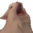 ahhhh