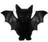 batkitty