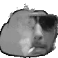 bortsmonk