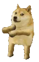 methdoge