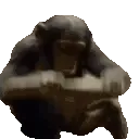 MODS