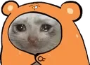 CatCryComfy Discord Emoji