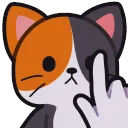 MistyBooping