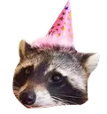 BirthdayRaccoon