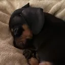 goodnight