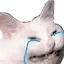 Crycat crycat Discord Emoji