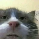 emoji_18