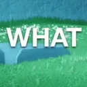 what_the_honk1
