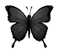 s_butterfly