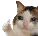 e_catthumbs