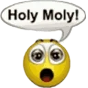 holymoly