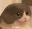 melvin