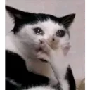 OMG