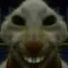 xxd