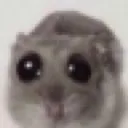 sadrat