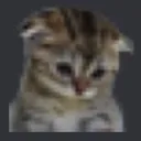 plakayu