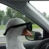 CoolSwan