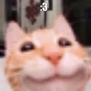 catcolon3 catcolon3
