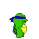 ninjaturtleblue