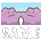 SameDittoSame