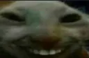 xdd xdd