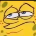 sadsponge