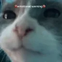 gulpy