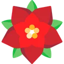 poinsettia