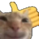 catthumbsup