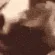 catscream2