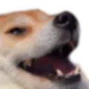 Hahahah Hahahah Discord Emoji