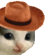 Meowdy meowdy Discord Emoji