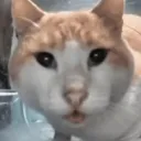 huh