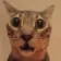 Catwow catwow Discord Emoji