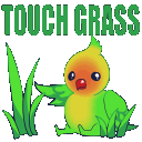 limon_touch_grass