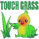 limon_touch_grass