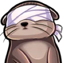 otter_blind