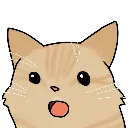 loafO loafO