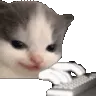 heheChatting