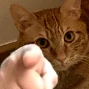 YOUUU
