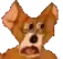 jerruh jerruh