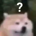 confused_dog