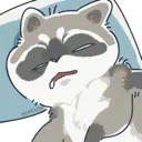 sleep_raccoon