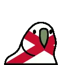 NIrelandParrot