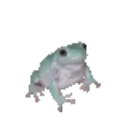 froggie