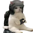 ryebre8TimmySit ryebre8TimmySit