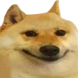 Dog_Smug Discord emoji