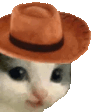 MEOWDY