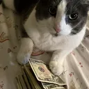 sog_rich