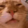 puh